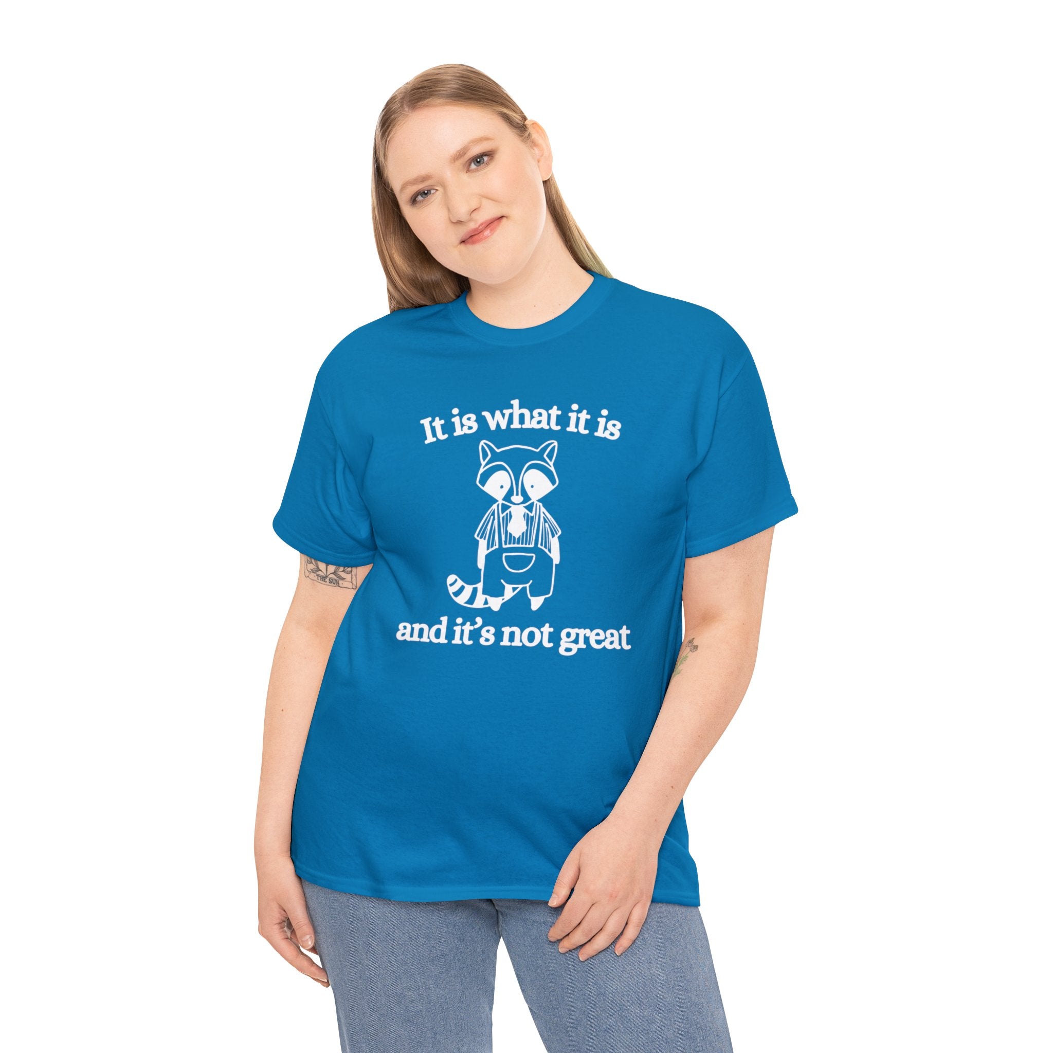 It is what it is and its not great | graphic tee | funny shirt | vintage shirt | sarcastic t-shirt retro cartoon tee