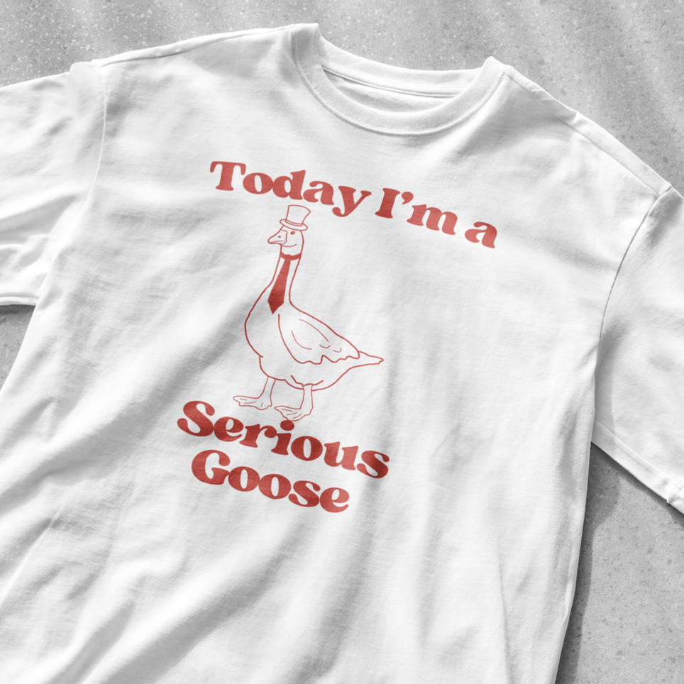 Today I'm a Serious Goose